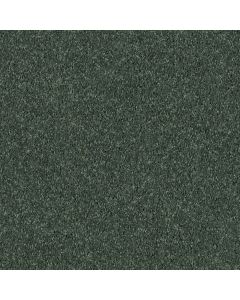 Shaw ALL STAR WEEKEND I 12' Going Green Carpet - SH-E0143-00340