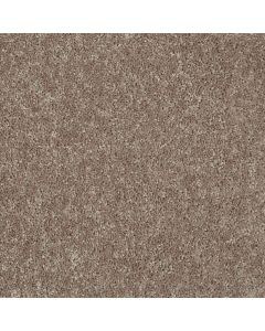 Shaw ALL STAR WEEKEND I 12' River Slate Carpet - SH-E0143-00720