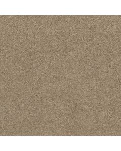 Shaw MAGIC AT LAST I 12' Balanced Beige Carpet - SH-E0200-00145
