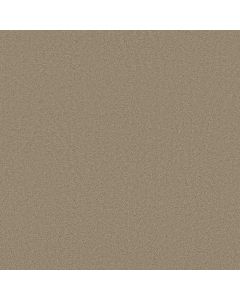 Shaw MAGIC AT LAST I 12' Alabaster Carpet - SH-E0200-00149