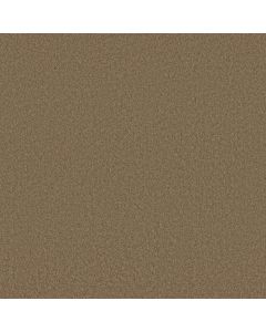 Shaw MAGIC AT LAST I 12' Wheat Grass Carpet - SH-E0200-00341