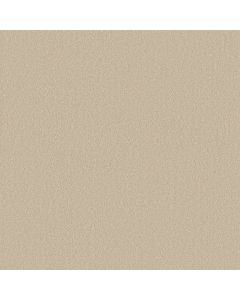 Shaw MAGIC AT LAST IV 15' Sea Salt Carpet - SH-E0237-00142