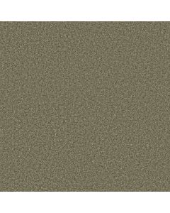 Shaw VITALIZE (S) 12' Ivy Gate Carpet - SH-E0276-00300