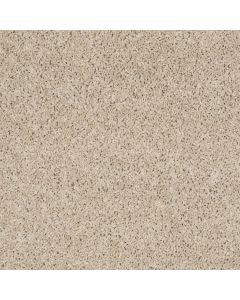 Shaw FUSION VALUE 300 Modest Carpet - SH-E0281-00110