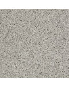 Shaw ENDURING COMFORT II Sheer Silver Carpet - SH-E0342-00500