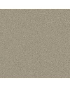 Shaw ENDURING COMFORT III City Scape Carpet - SH-E0343-00109