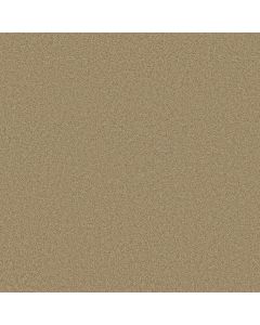 Shaw ENDURING COMFORT III Cologne Mist Carpet - SH-E0343-00128