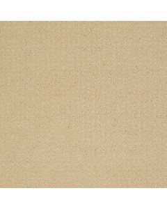Shaw ENDURING COMFORT PATTERN Chamois Carpet - SH-E0404-00220