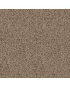 Shaw EXPECT MORE (S) River Walk Carpet - SH-E0473-00702