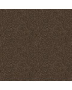 Shaw EXPECT MORE (S) Chocolate Chip Carpet - SH-E0473-00704