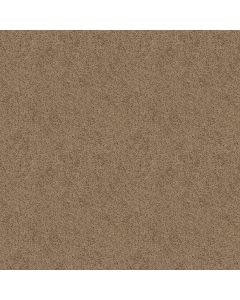 Shaw EXPECT MORE (S) Vintage Tan Carpet - SH-E0473-00714