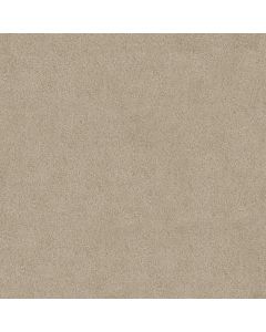Shaw ORIGINS Frost Carpet - SH-E0523-00104