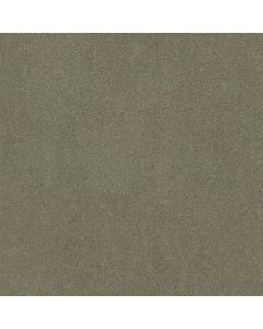 Shaw ORIGINS Silver Sage Carpet - SH-E0523-00310