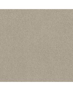 Shaw ORIGINS Cold Water Carpet - SH-E0523-00510