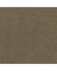 Shaw ORIGINS Townhouse Carpet - SH-E0523-00704