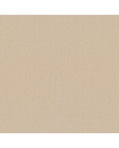 Shaw GENESIS Winter White Carpet - SH-E0525-00100