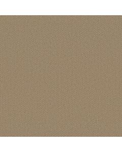 Shaw GENESIS Fieldstone Carpet - SH-E0525-00105