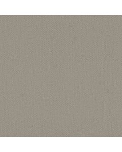 Shaw GENESIS Cold Water Carpet - SH-E0525-00510