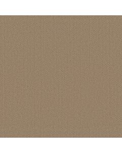 Shaw GENESIS Natural Wood Carpet - SH-E0525-00701