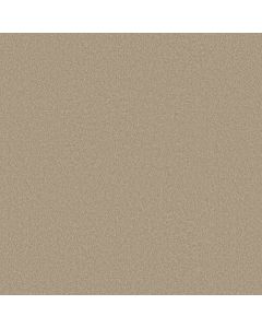 Shaw SANDY HOLLOW CLASSIC I 12' Oatmeal Carpet - SH-E0548-00104