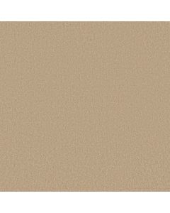 Shaw SANDY HOLLOW CLASSIC I 12' Cashew Carpet - SH-E0548-00106