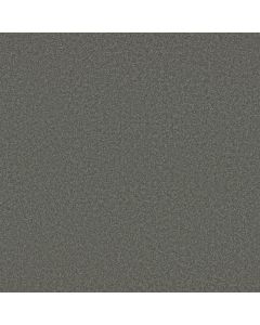 Shaw SANDY HOLLOW CLASSIC I 12' Slate Carpet - SH-E0548-00502