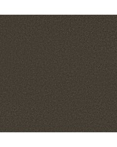 Shaw SANDY HOLLOW CLASSIC I 12' Arrowhead Carpet - SH-E0548-00522