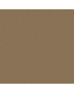 Shaw SANDY HOLLOW CLASSIC I 12' Muffin Carpet - SH-E0548-00700