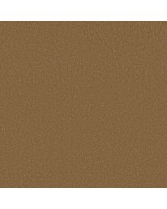 Shaw SANDY HOLLOW CLASSIC I 12' Peanut Brittle Carpet - SH-E0548-00702