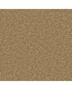 Shaw SANDY HOLLOW CLASSIC II 12 Muffin Carpet - SH-E0550-00700