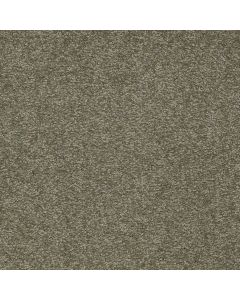 Shaw SANDY HOLLOW CLASSIC II 15' Alpine Fern Carpet - SH-E0551-00305