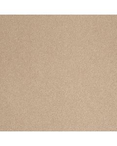 Shaw SANDY HOLLOW CLASSIC III 12' Stucco Carpet - SH-E0552-00110