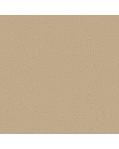 Shaw SANDY HOLLOW CLASSIC IV 15' Cashew Carpet - SH-E0555-00106