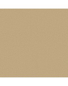 Shaw SANDY HOLLOW CLASSIC IV 15' Marzipan Carpet - SH-E0555-00201