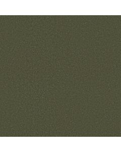 Shaw SANDY HOLLOW CLASSIC IV 15' Alpine Fern Carpet - SH-E0555-00305