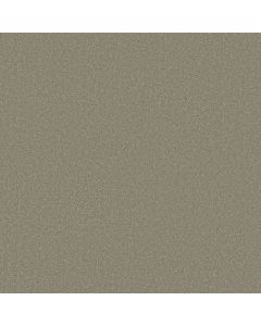 Shaw SANDY HOLLOW CLASSIC IV 15' London Fog Carpet - SH-E0555-00501