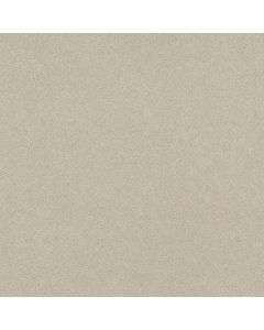 Shaw WELL PLAYED II 12 Creamy Tint Carpet - SH-E0563-00101