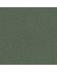 Shaw WELL PLAYED II 12 Spring Leaf Carpet - SH-E0563-00300