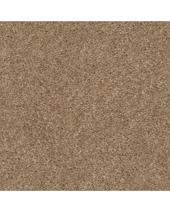 Shaw MAX APPEAL Thornwood Carpet - SH-E0568-00700