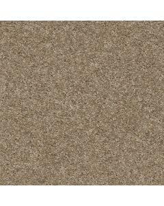 Shaw MAX APPEAL Hillsborough Carpet - SH-E0568-00710