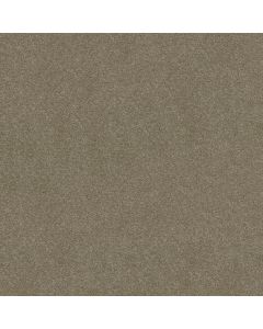 Shaw DESIGNER'S CHOICE Wild Rice Carpet - SH-E0575-00115