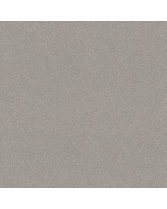 Shaw DESIGNER'S CHOICE Sheer Silver Carpet - SH-E0575-00510