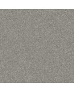 Shaw DESIGNER'S CHOICE Dove Tail Carpet - SH-E0575-00511