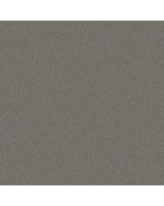 Shaw DESIGNER'S CHOICE Nickel Carpet - SH-E0575-00512