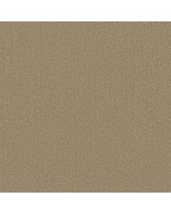 Shaw SPRINTER Tree Trunk Carpet - SH-E0577-00105