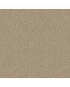 Shaw SPRINTER Practical Beige Carpet - SH-E0577-00136