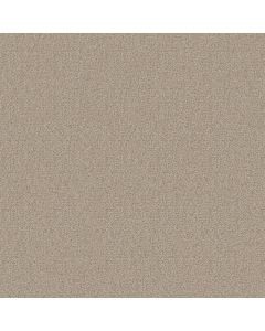 Shaw SPRINTER Chipmunk Carpet - SH-E0577-00170