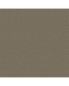 Shaw SPRINTER Putty Carpet - SH-E0577-00541
