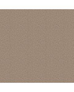 Shaw SPRINTER Willow Carpet - SH-E0577-00700