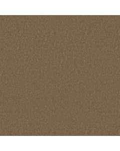 Shaw SPRINTER Down Home Carpet - SH-E0577-00732